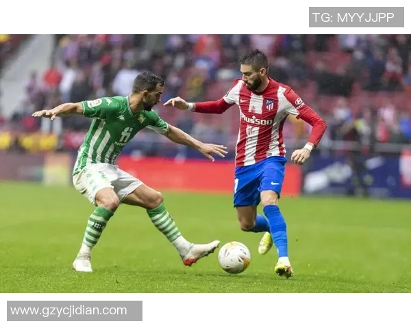 那不勒斯与萨尔茨堡精彩对决直播比分实时更新分析