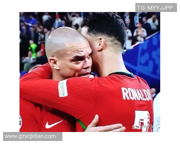 法国与葡萄牙欧洲杯预选赛精彩对决解析与赛后点评