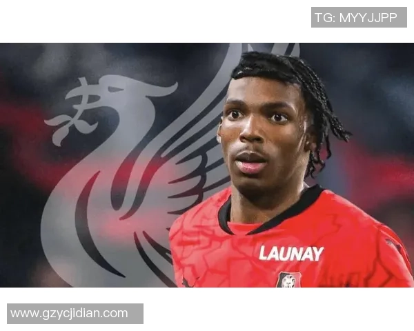 总算意气昂扬，利物浦天价中场闪烁赛场，德国大胜确定世界杯资历